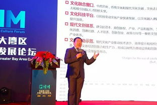 數(shù)字時(shí)代粵港澳大灣區(qū)文創(chuàng)產(chǎn)業(yè) 機(jī)遇與挑戰(zhàn)并存